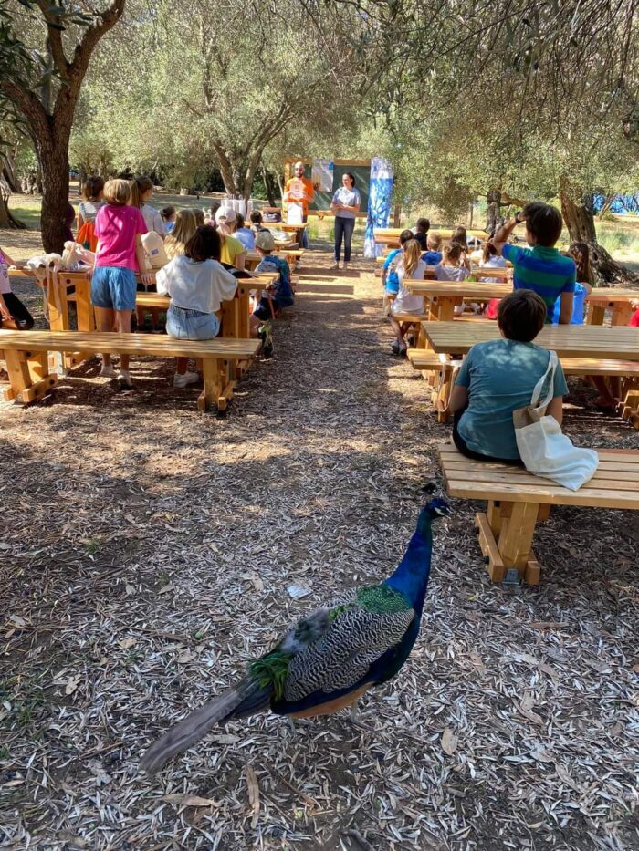 facebook_1632809652611_6848500057188087731 – Copy